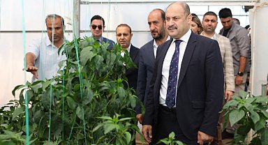 Şanlıurfa’da ata tohumları yeniden toprakla buluşuyor