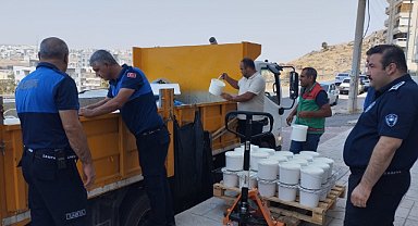 Şanlıurfa'da sahte köy yoğurdu üretimi yapan işletmenin ruhsatı iptal edildi