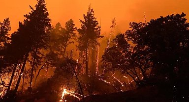 Yangınlarla ilgili son durum!