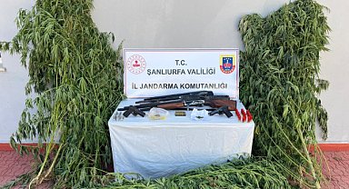 5 ilçede geniş kapsamlı operasyon: Birçok madde ele geçirildi 