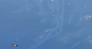 Birecik’te Fırat Nehri kirlilik tehlikesiyle karşı karşıya