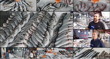 Balıkçılarda çeşit artınca vatandaşın talebi de arttı