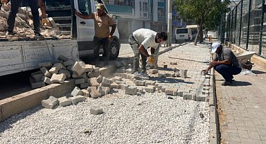 Eyyübiye’de park ve yeşil alanlarda bakım çalışmaları devam ediyor