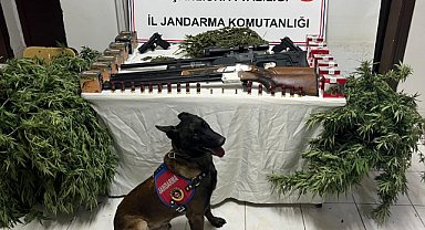 Harran'da narkotik operasyonu: 3 gözaltı