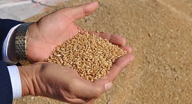 Türkiye hububat ihracatı 8 ayda 8 milyar doları geçti