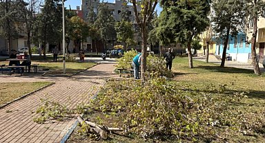 Eyyübiye Belediyesi yeşil alan çalışmalarını sürdürüyor