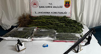 Narkotik suçlara darbe: Bir şüpheli tutuklandı, çok sayıda madde ele geçirildi