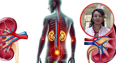 Nefroloji uzmanından kritik uyarı: Ailede varsa böbrek taraması şart!