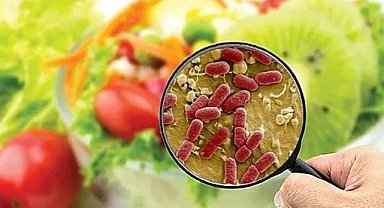  Prof. Dr. Ahmet Uyanıkoğlu yaz uyarısı: Gıda zehirlenmesine karşı 5 altın kural