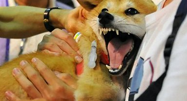 Uzman isimden kritik uyarı: Vakit kaybetmeden hastaneye başvurun! 