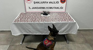 Haliliye’de uyuşturucu operasyonu: 2 şüpheli gözaltında