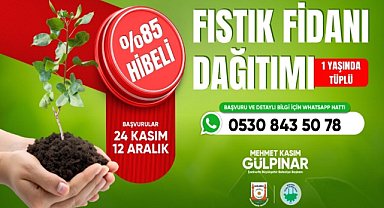 Şanlıurfa'da fıstık fidanı desteği: Çiftçiye %85 hibe fırsatı başladı!