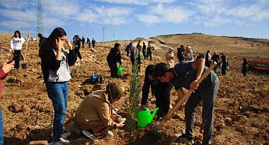 Şanlıurfa liseleri çevre projesine fidan dikimiyle başladı
