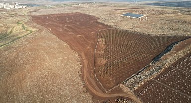 Siverek’te Millet Meyve Bahçeleri projesinde ikinci etap çalışmaları başladı