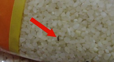 Zincir marketlerdeki tarihi geçmiş ürünleri saklanırken yakaladı