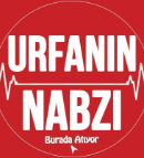 Mehmet Bayrak